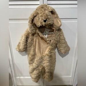 Pottery Barn Kids Baby Labradoodle Dog Costume